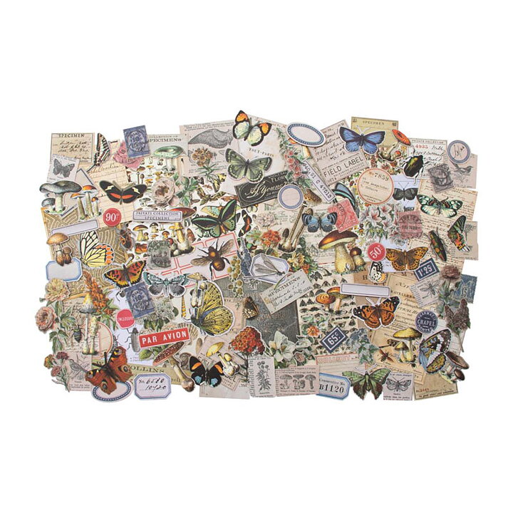 Tim Holtz Idea-Ology - Ephemera Pack - Field Notes