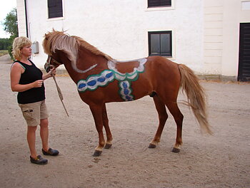 PRESENTKORT 500 kr
