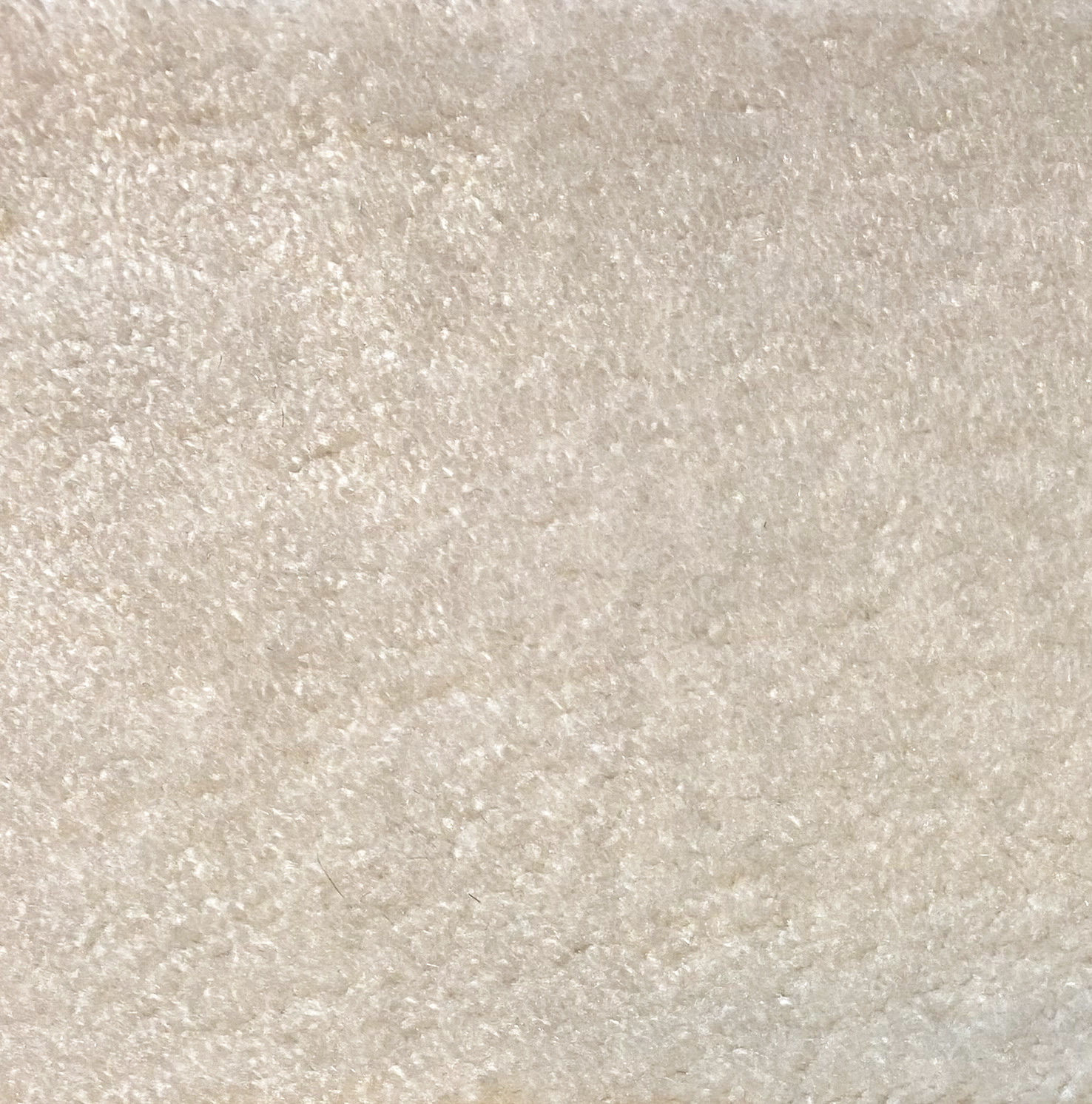 Silky  - 6