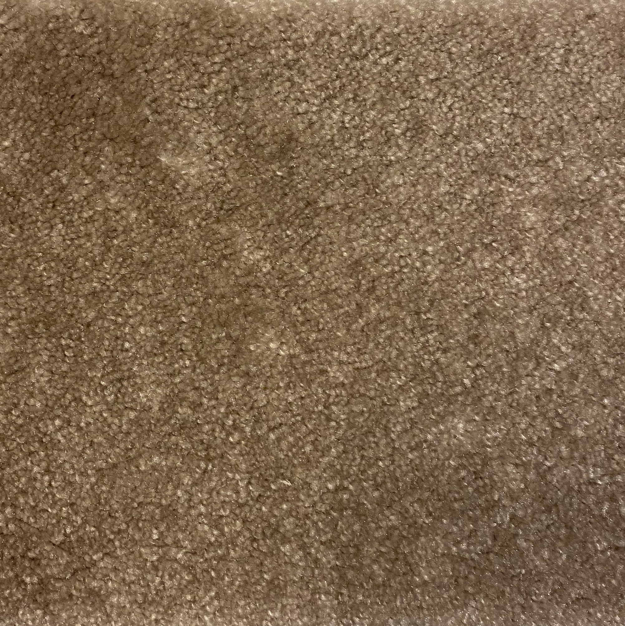 Silky Provbitar - 3