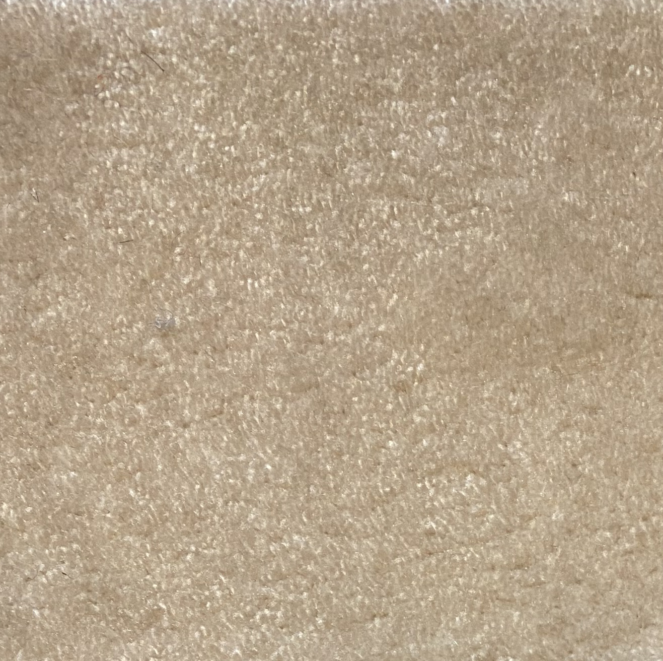Silky Provbitar - 4