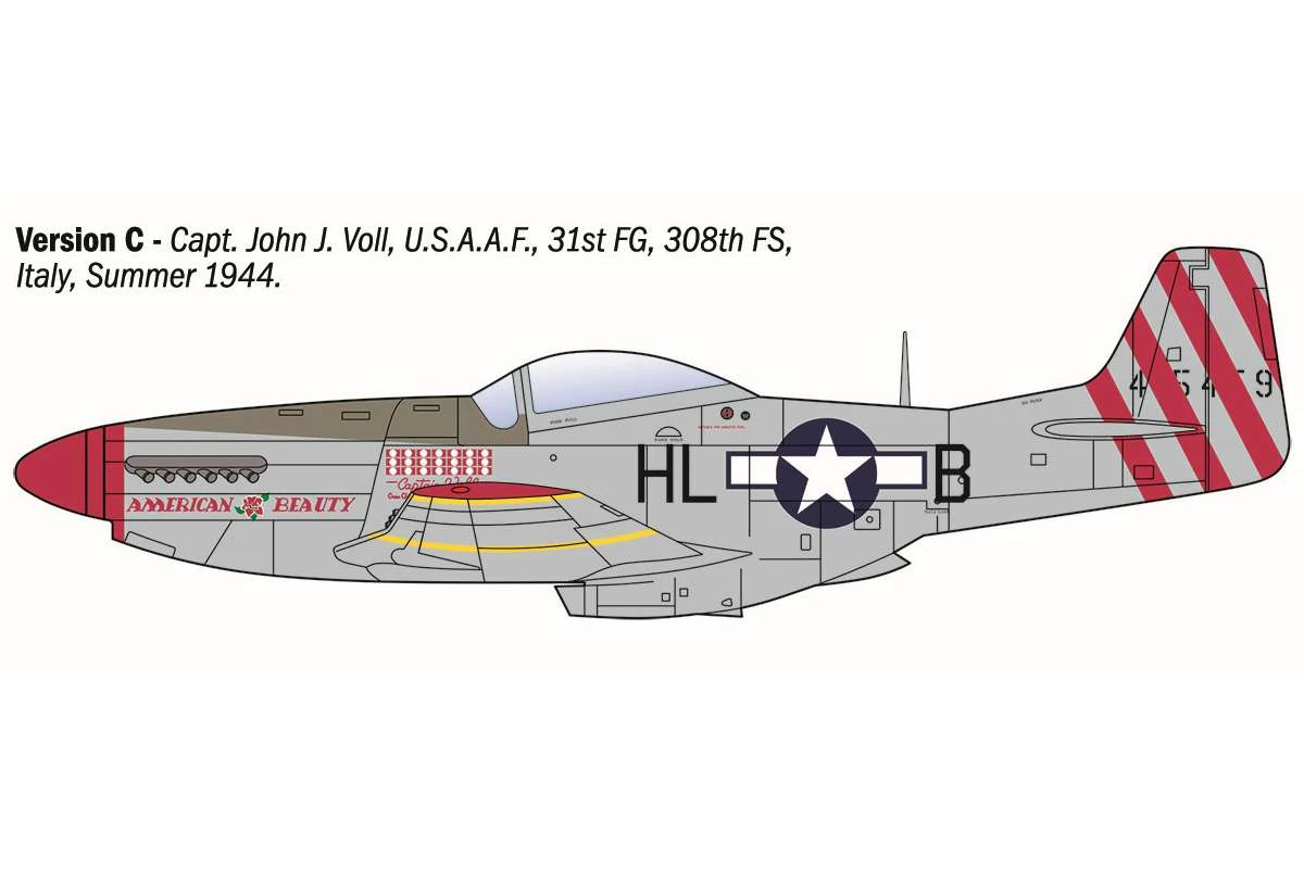 P-51D Mustang WWII Aces 1/72 - 5
