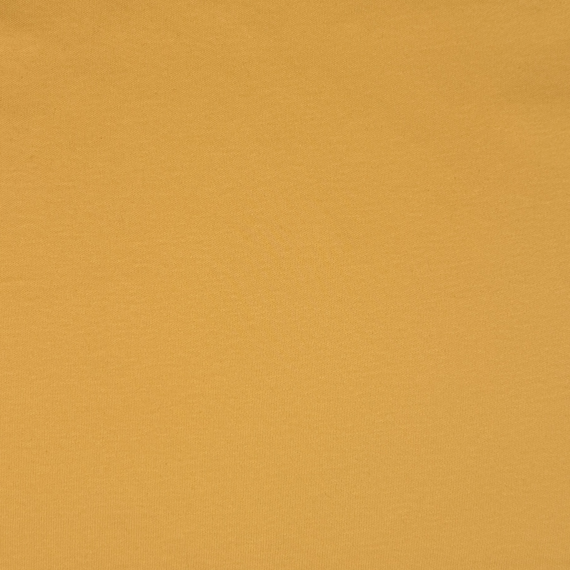 Interlock Organic Cotton Dk Yellow