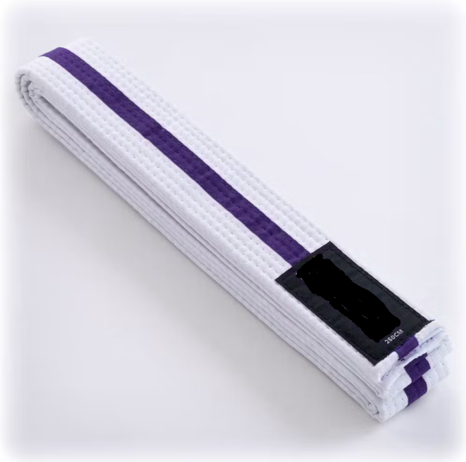 Moon Belt White with Purple stripe 4 - 4,5  cm