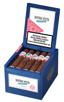 Buena Vista Incognito Robusto 20-Pack