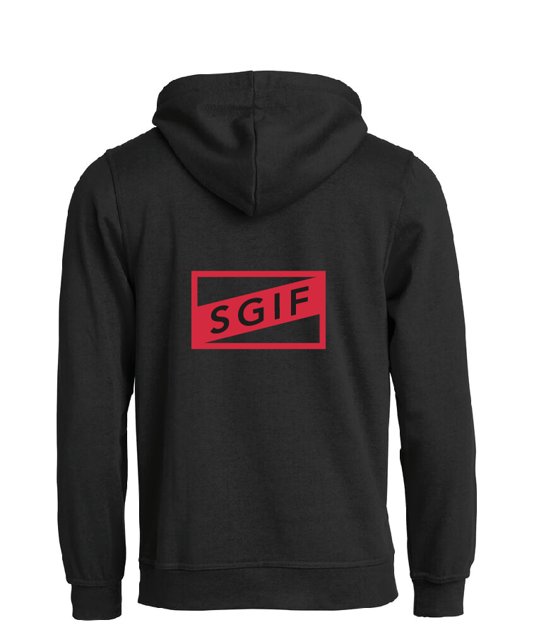 Clique Basic Hoody - SUPPORTER JR (Skivarps GIF) - 2
