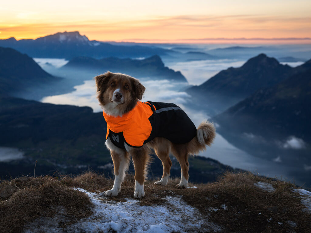 Non-stop Dogwear Fjord Raincoat 2.0 - Orange/Black - 2