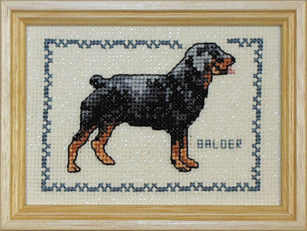 Korsstygn Tavla Hund Rotweiler