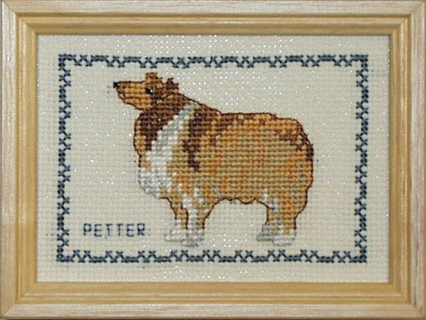 Korsstygn Tavla Hund Collie