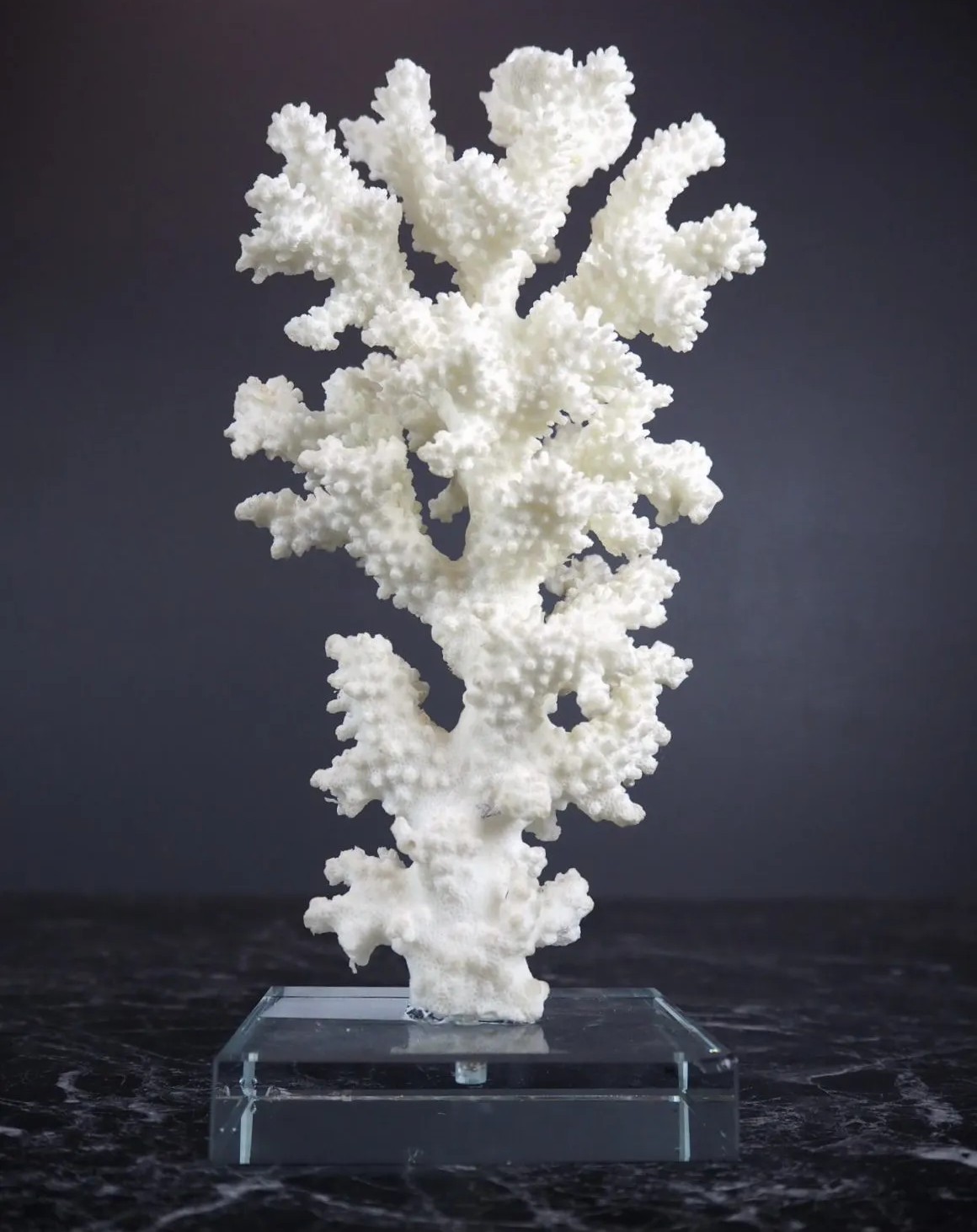 Korall CYX003