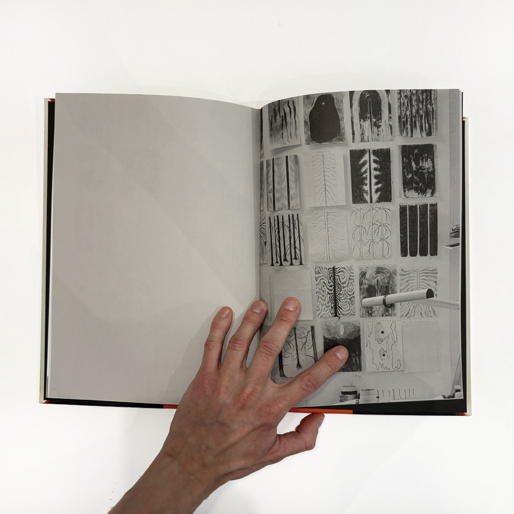 Julia Selin: Painted in the Moth Sphere [signed] - 8