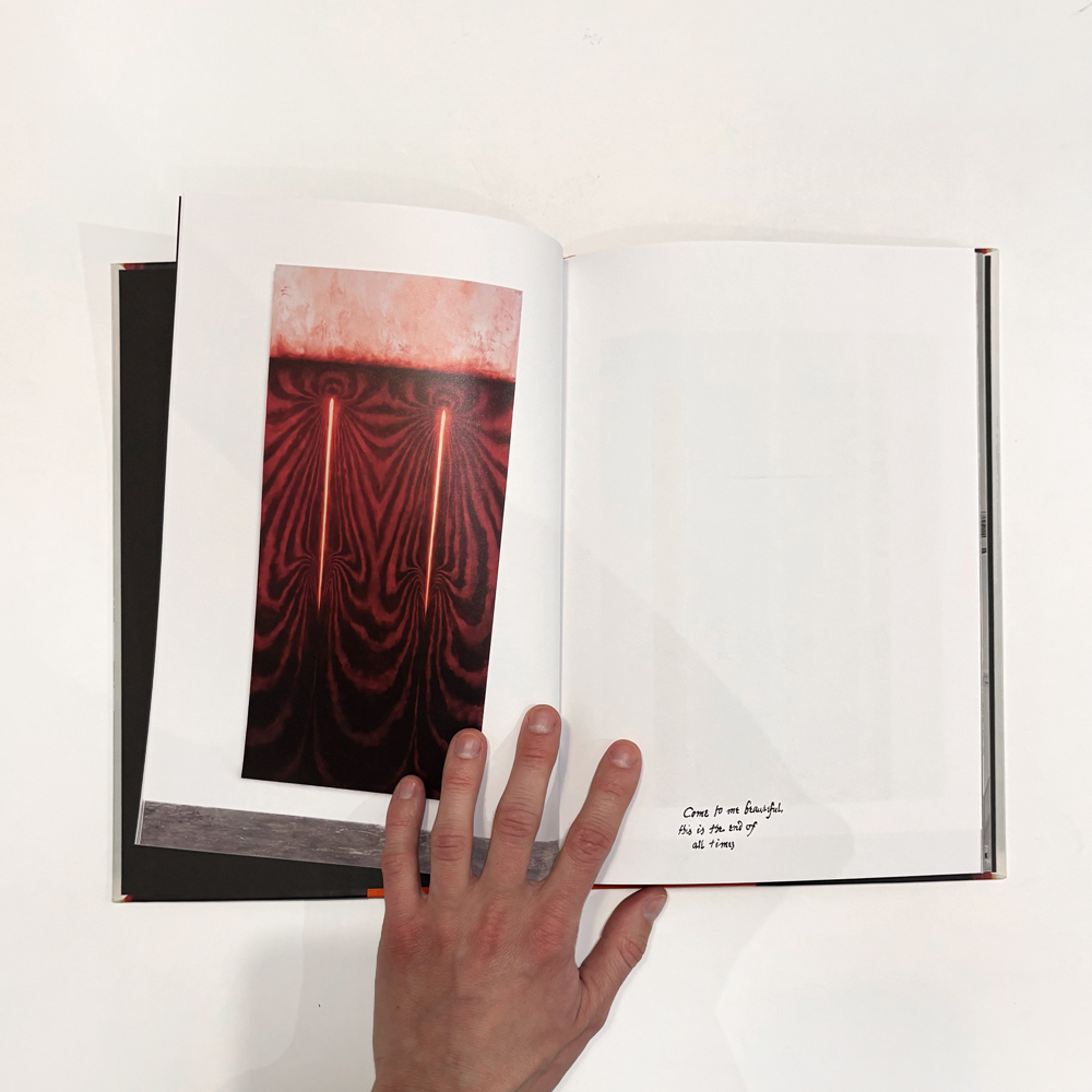 Julia Selin: Painted in the Moth Sphere [signed] - 4