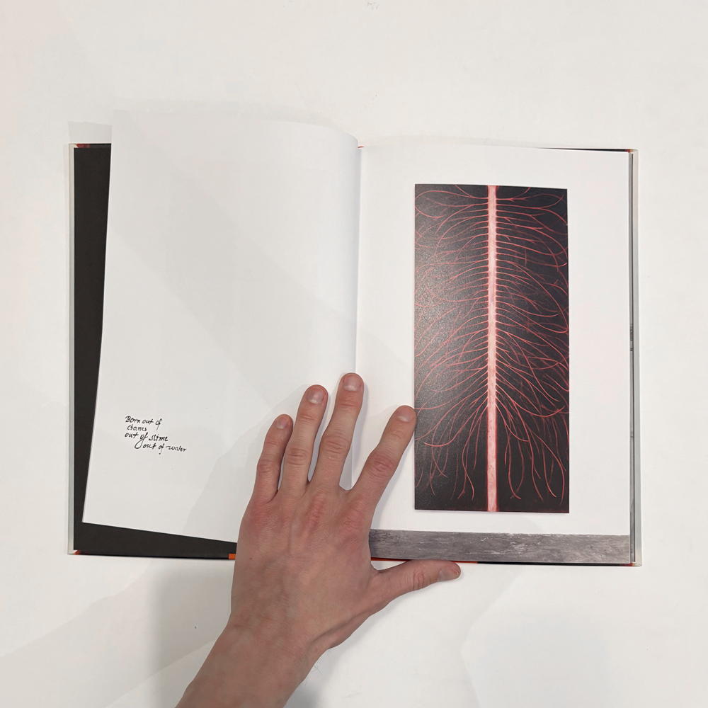 Julia Selin: Painted in the Moth Sphere [signed] - 6