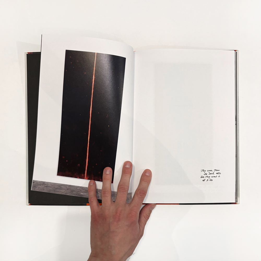 Julia Selin: Painted in the Moth Sphere [signed] - 5