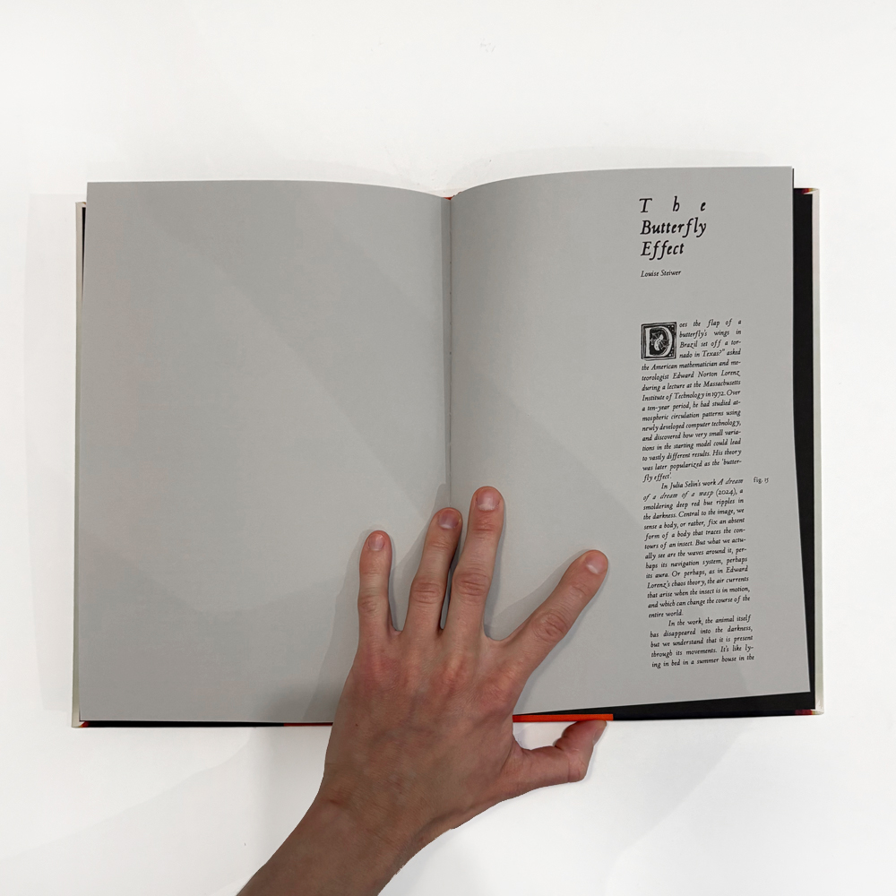 Julia Selin: Painted in the Moth Sphere [signed] - 7