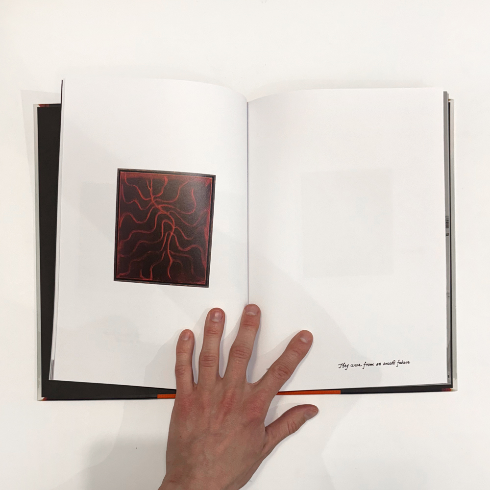 Julia Selin: Painted in the Moth Sphere [signed] - 3