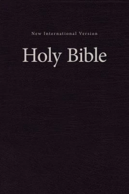 Engelsk Bibel New International Version Hårdpärm