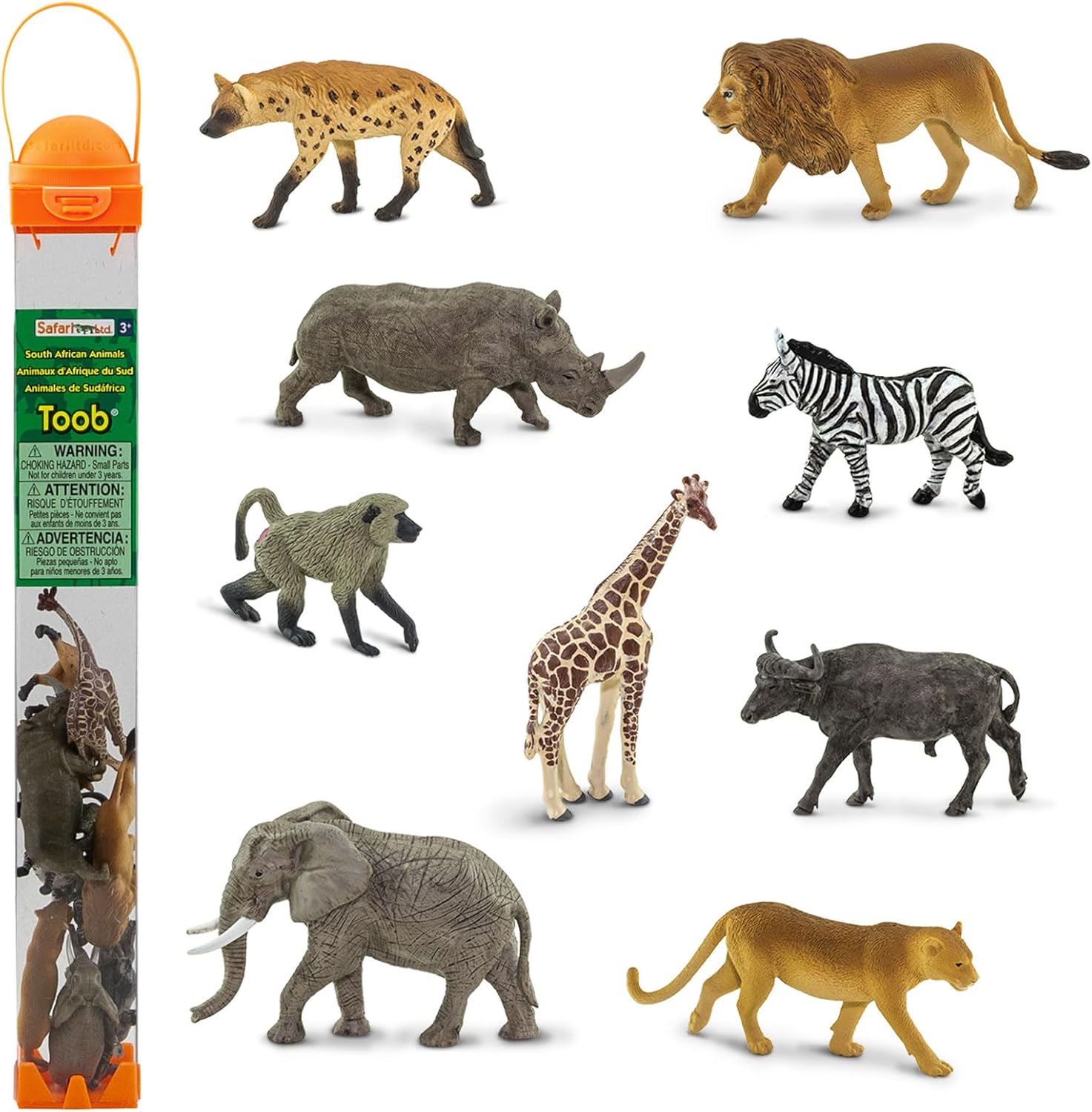 Asien djur  - Safari 
