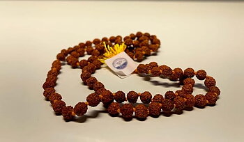 Rudraksh Mala 5-mukhi/faceted