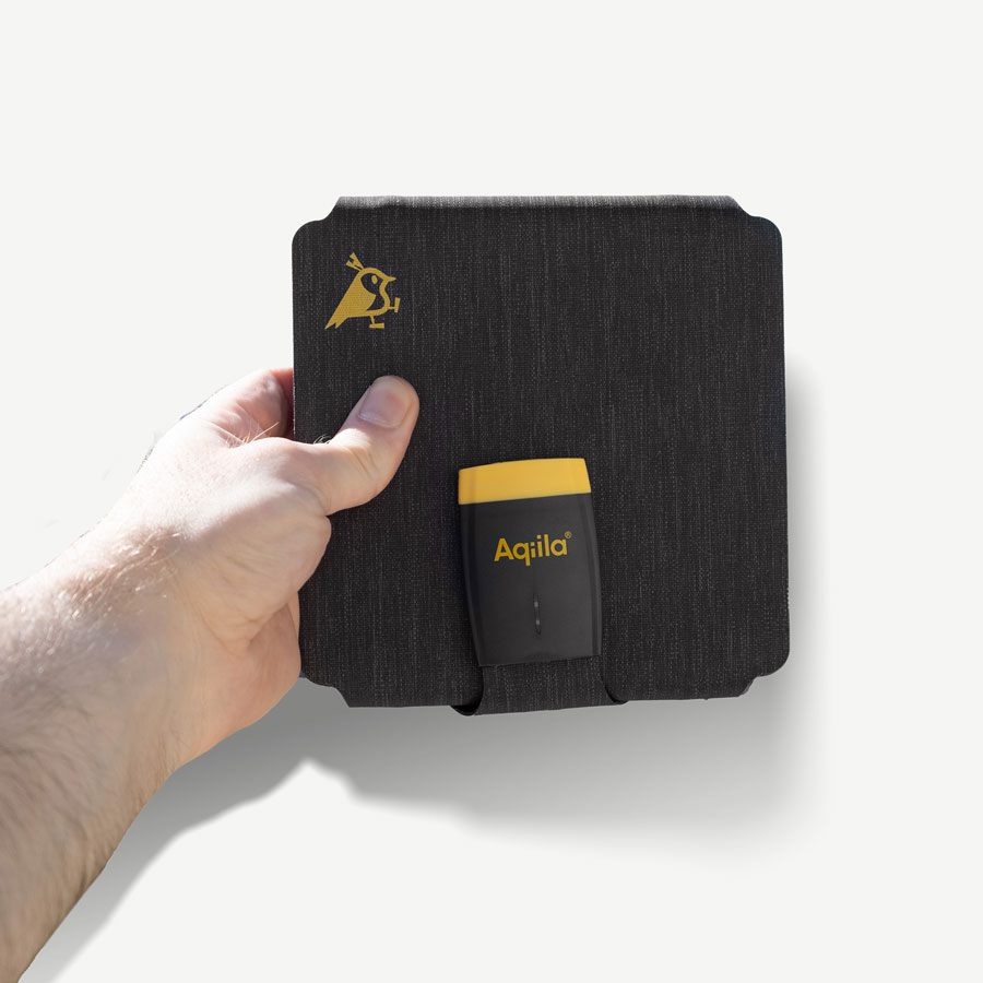 Aqiila Solpanel Sunbird P21 - 2