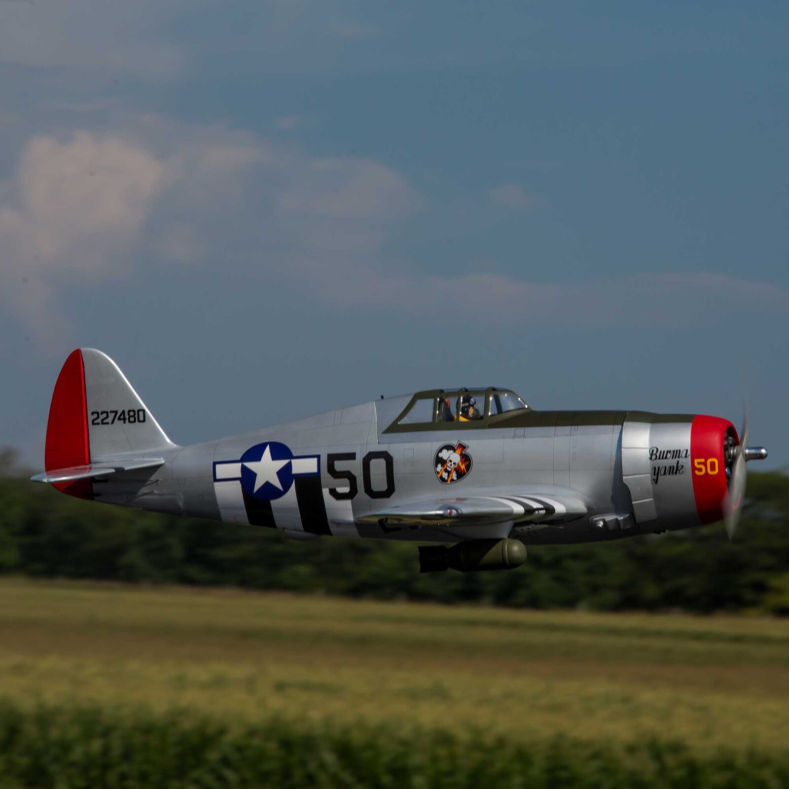 Hangar 9 P-47D Thunderbolt 20cc ARF, 67" - 6