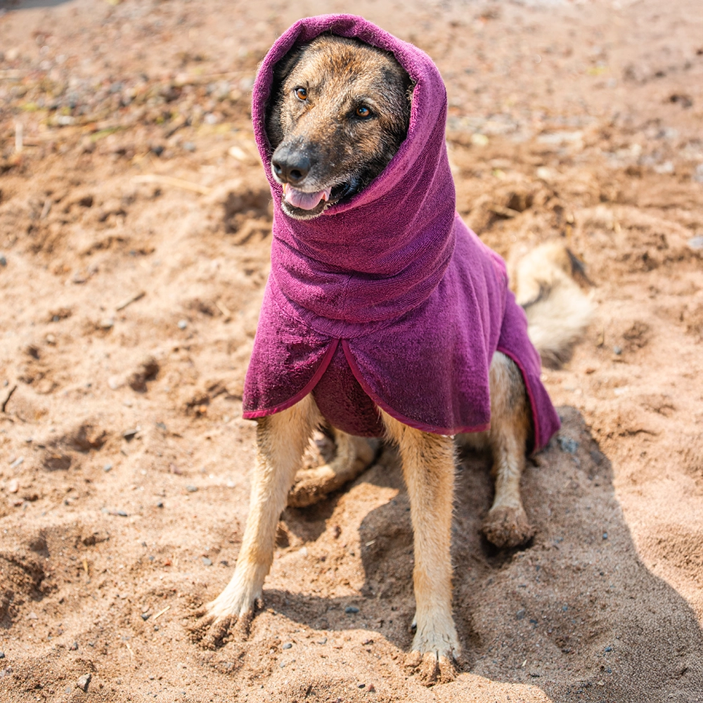 Torka hunden med en effektiv badrock torktäcke från Jumppa