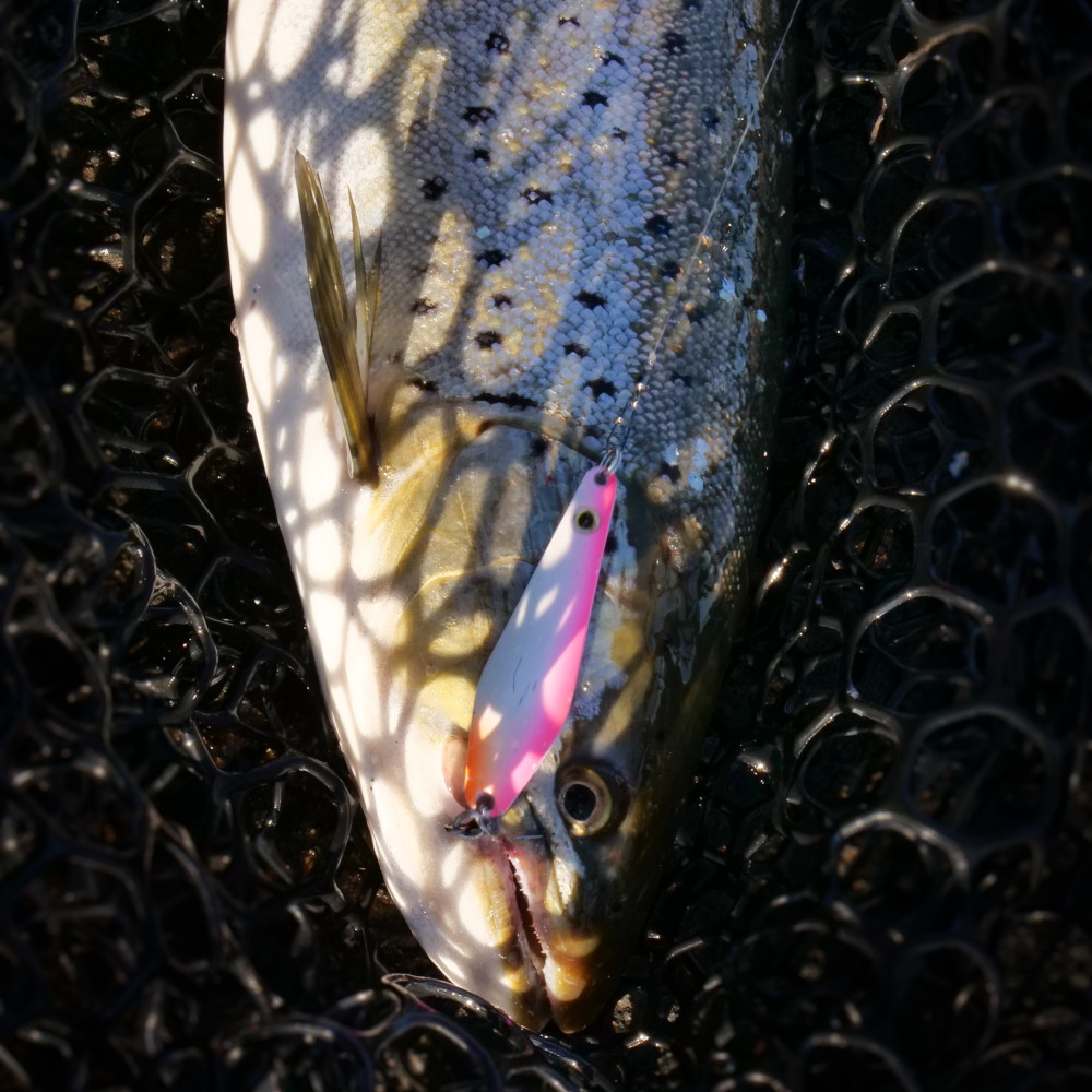 Wiggler Nelix 15g/7cm - välj färg - 18