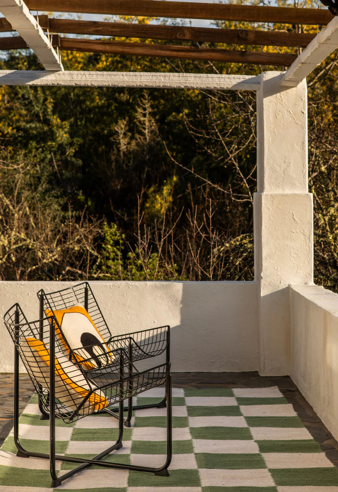 The Sicilian Jute Clover - 2