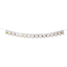 Banner Årets Student 4m