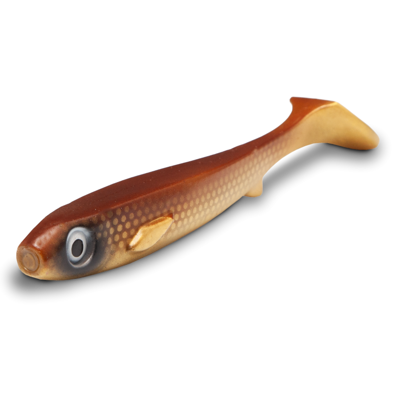 Kanalgratis Flatnose Shad Jr 15cm 2-pack Golddigger