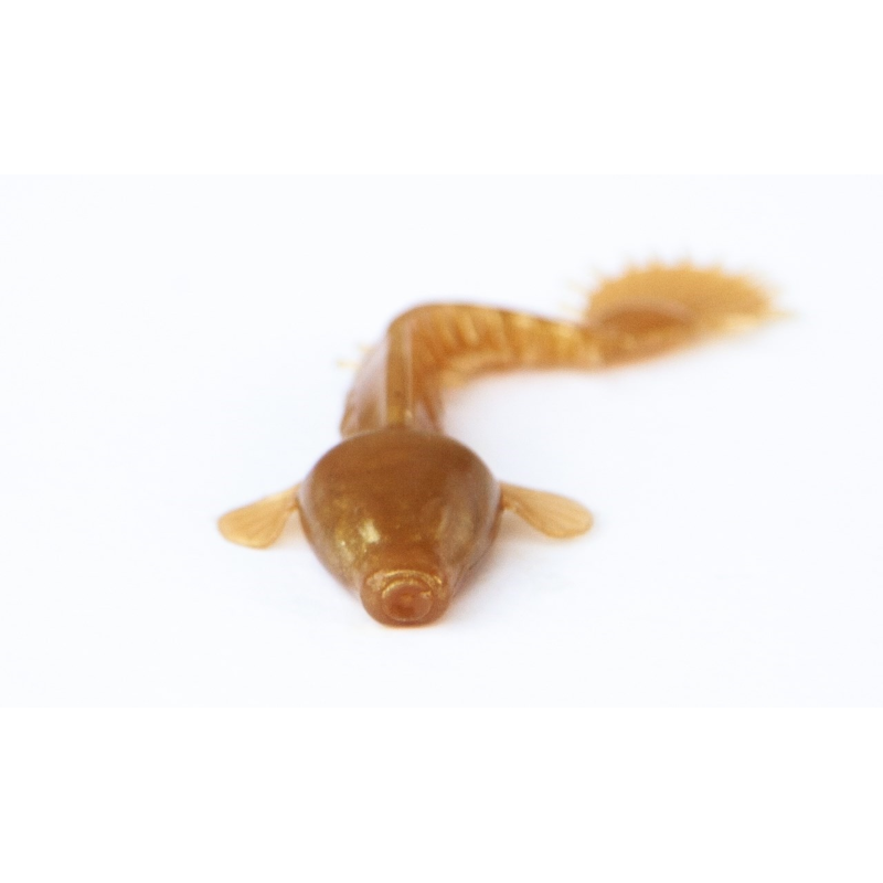 Kanalgratis Monkey Fry 16-pack - Kiwi