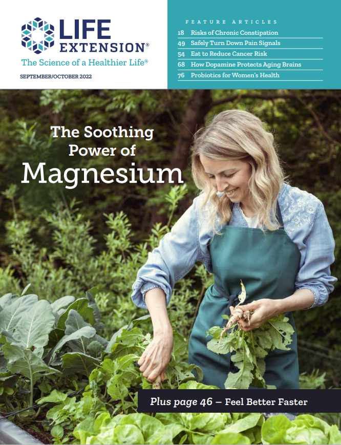 LEE Magazine 2022-Sep-Oct