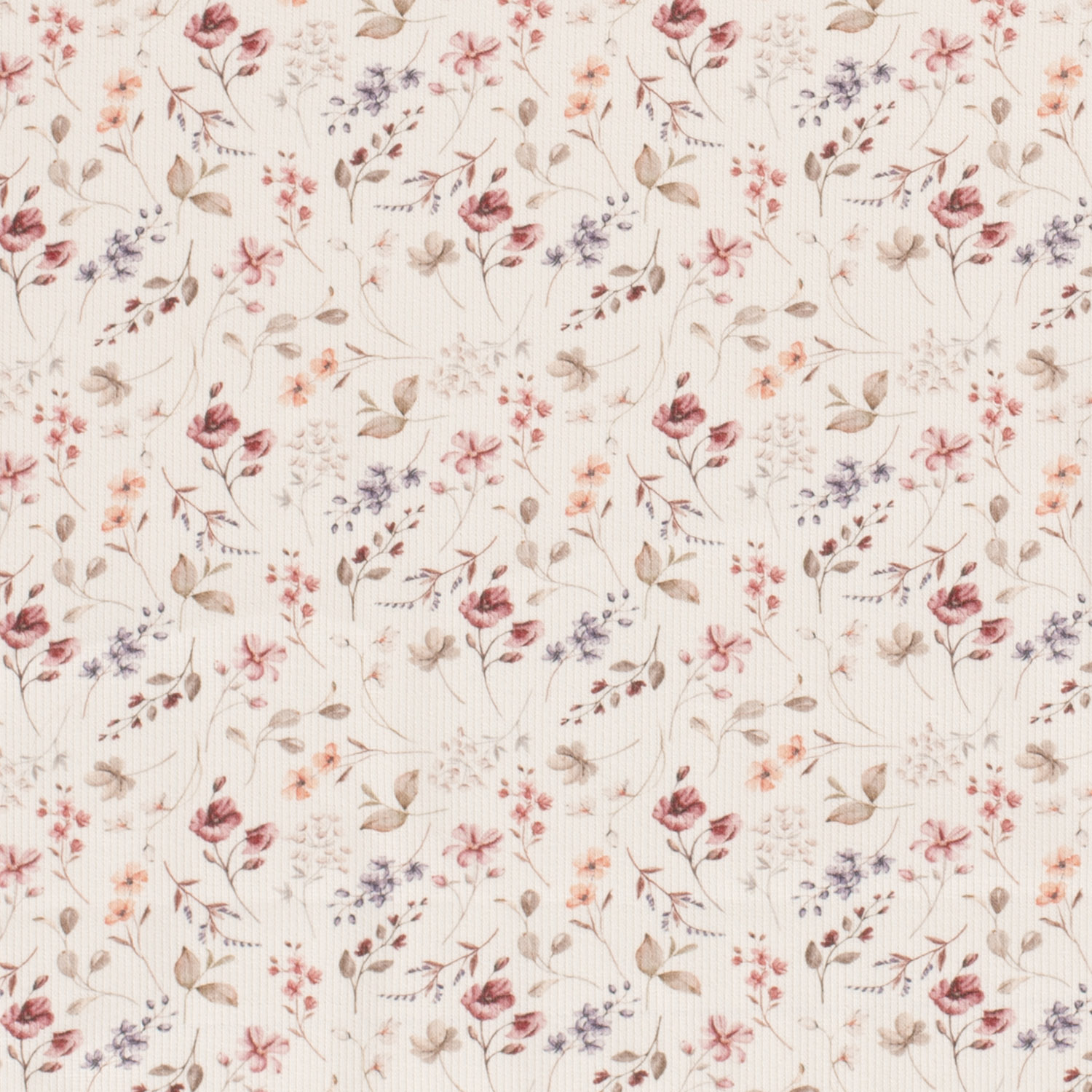 SUMMER FIELD  - RIBBAD  - 3