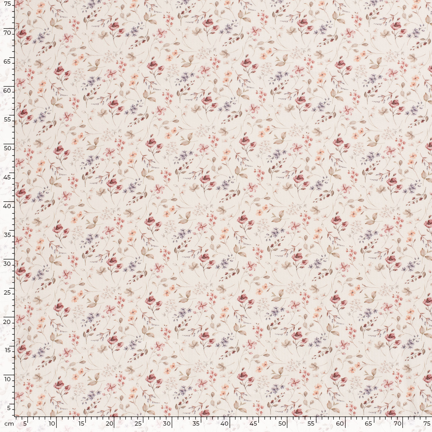 SUMMER FIELD  - RIBBAD  - 10