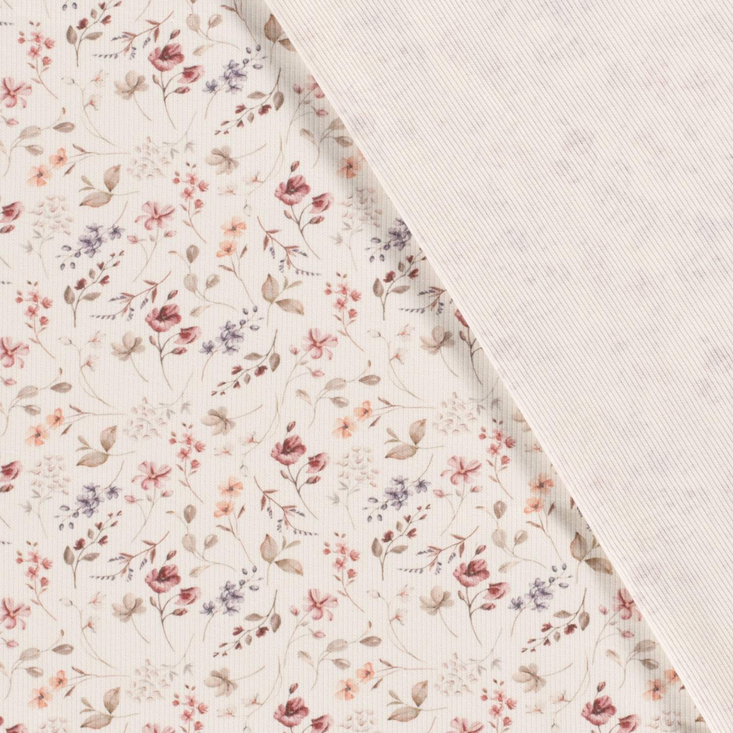 SUMMER FIELD  - RIBBAD  - 9