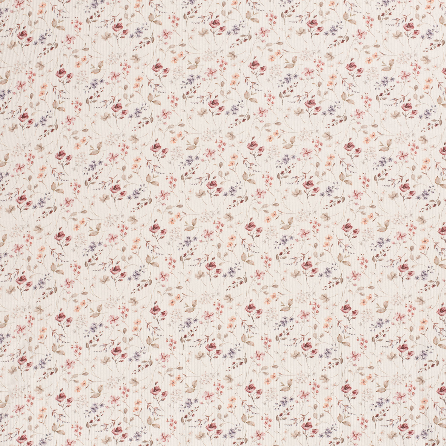 SUMMER FIELD  - RIBBAD  - 5