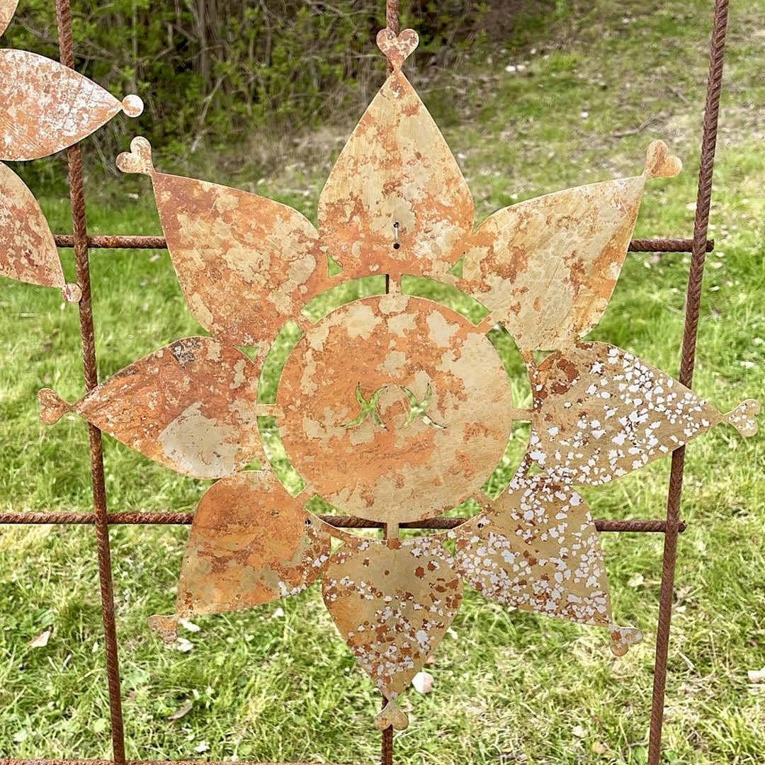 SOLROS rostar - 4
