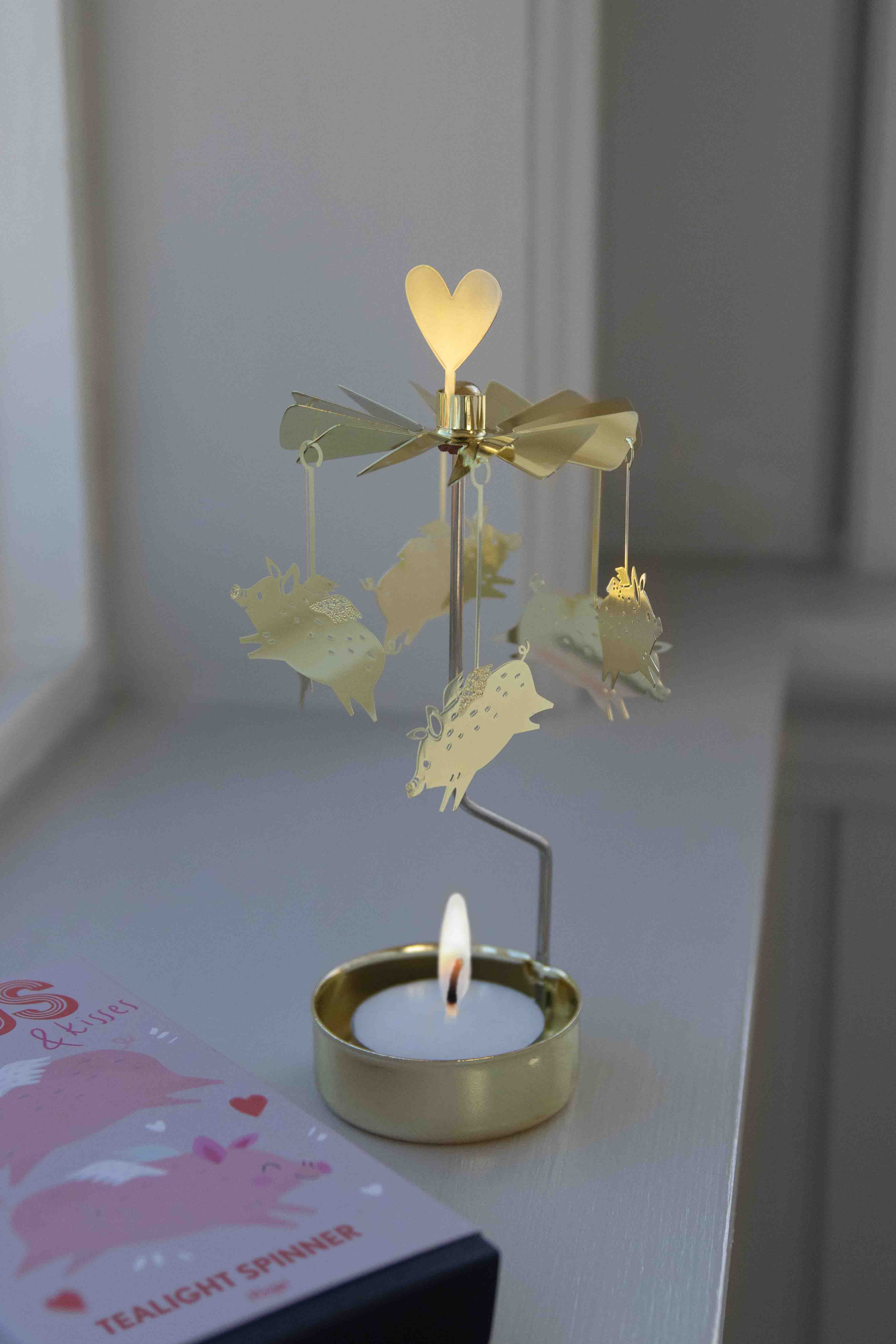 TEALIGHT SPINNER HOGS 