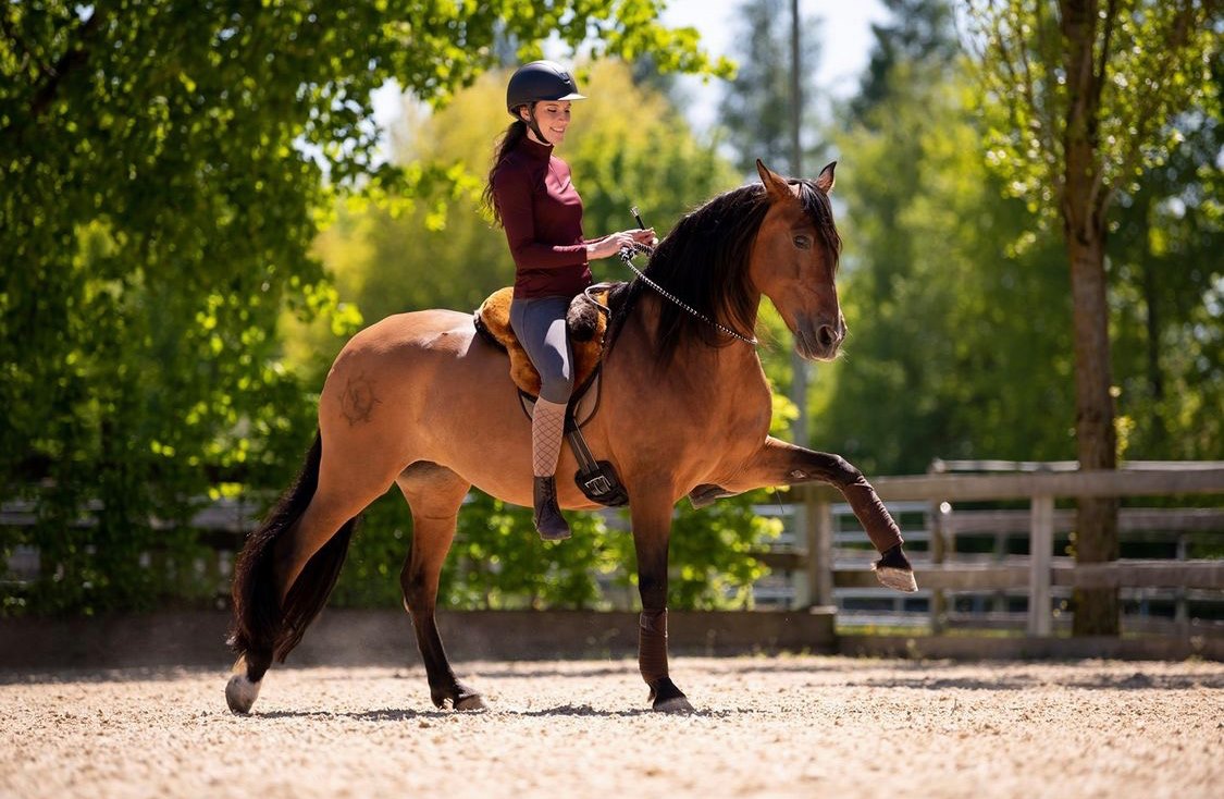 F.R.A® Macon "Extra" sheepskin saddle / bareback saddle with support - 11