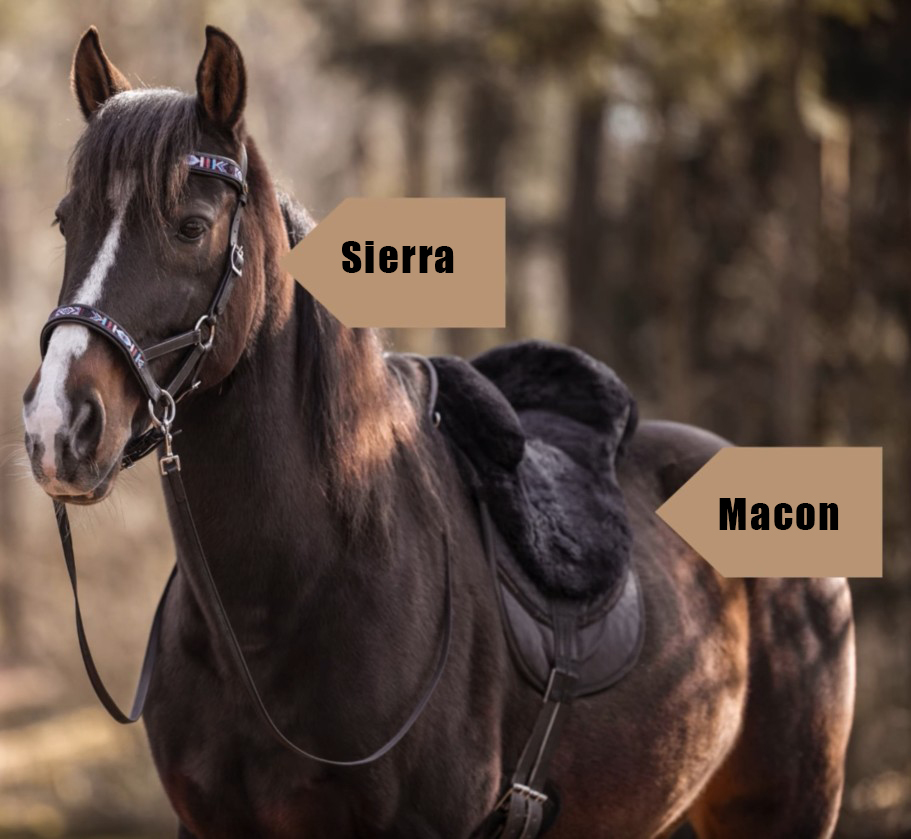F.R.A® Macon "Extra" sheepskin saddle / bareback saddle with support - 2