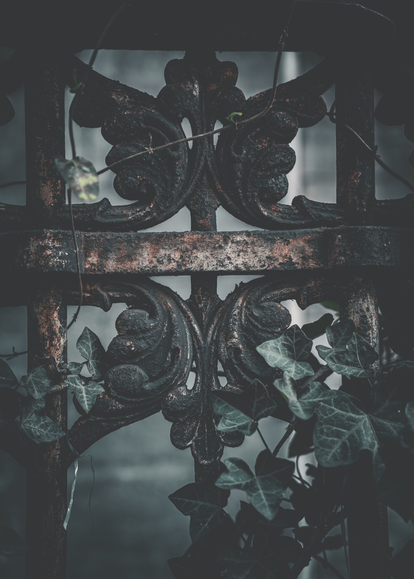 Poison Oak - Poster - 4