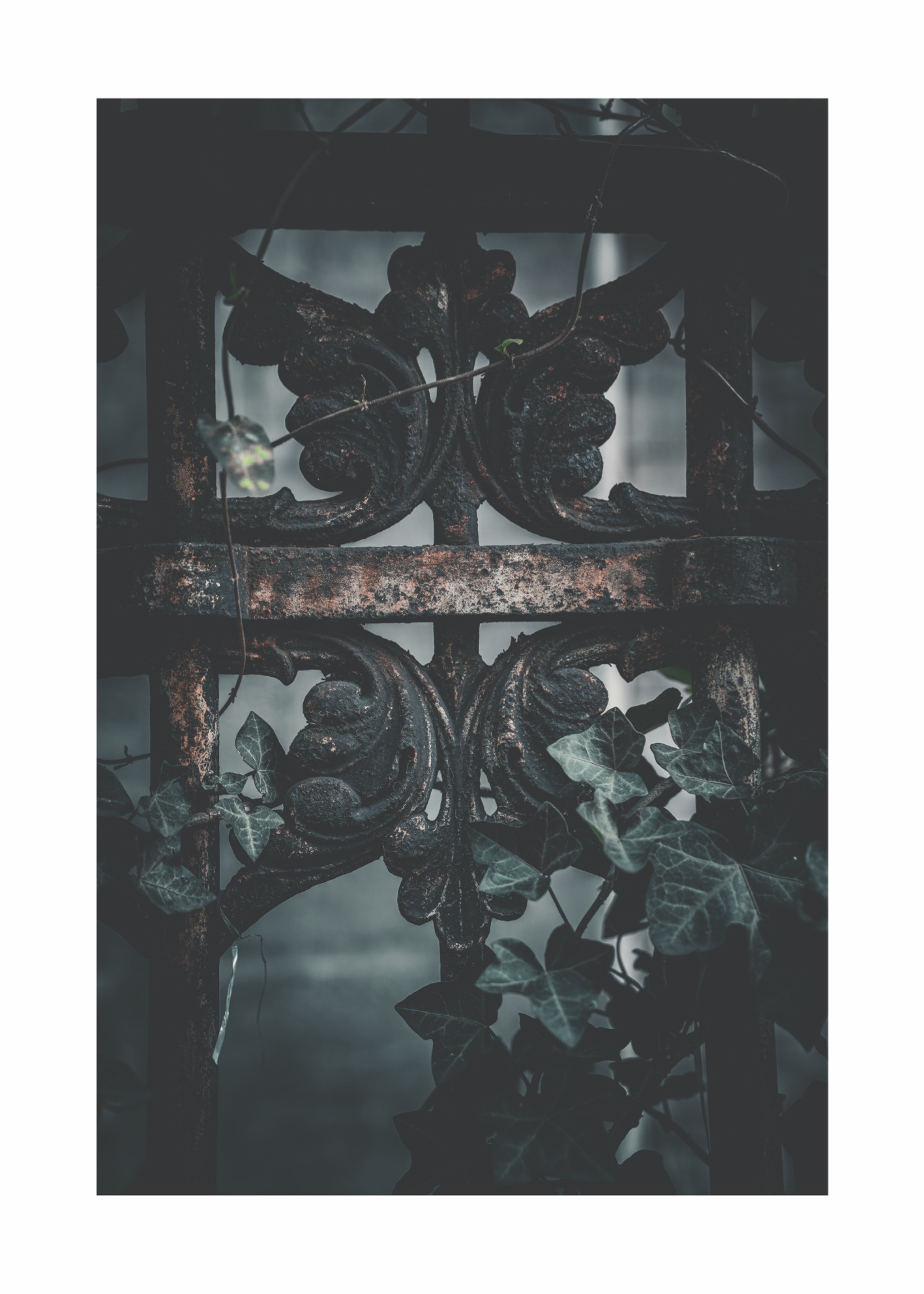 Poison Oak - Poster - 3