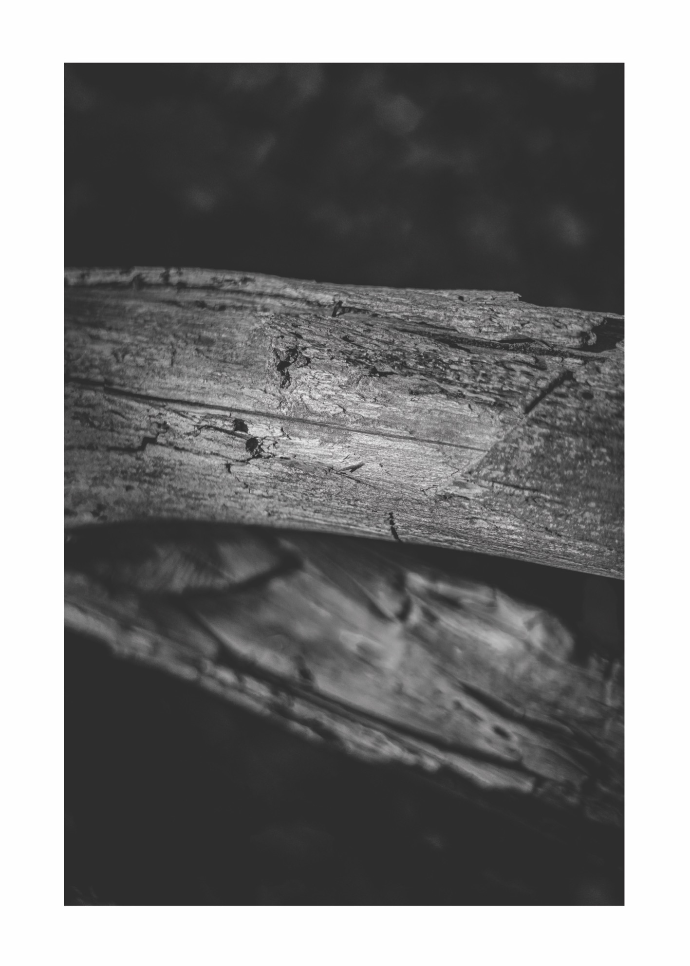 Dead Wood - Poster - 5