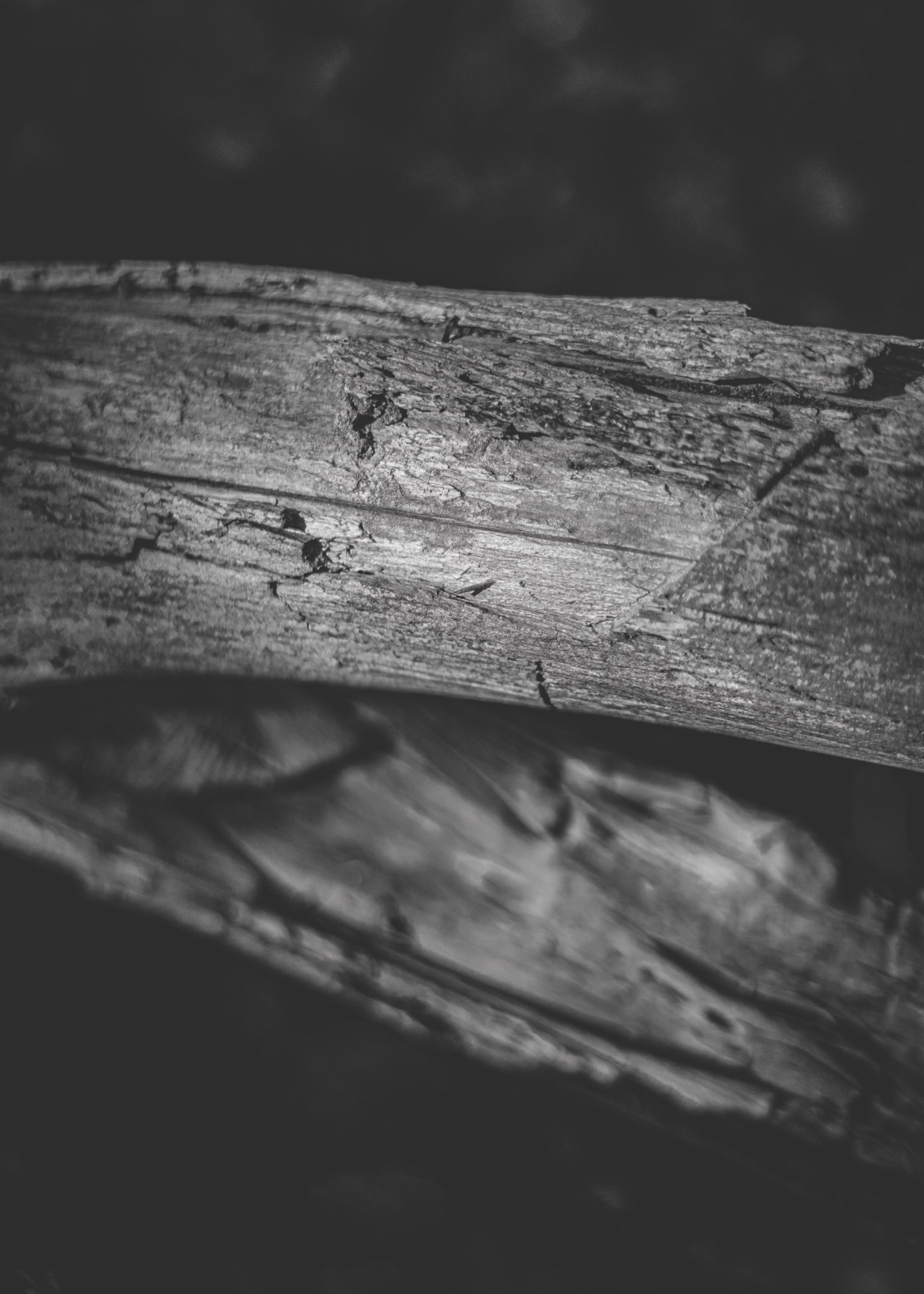 Dead Wood - Poster - 6