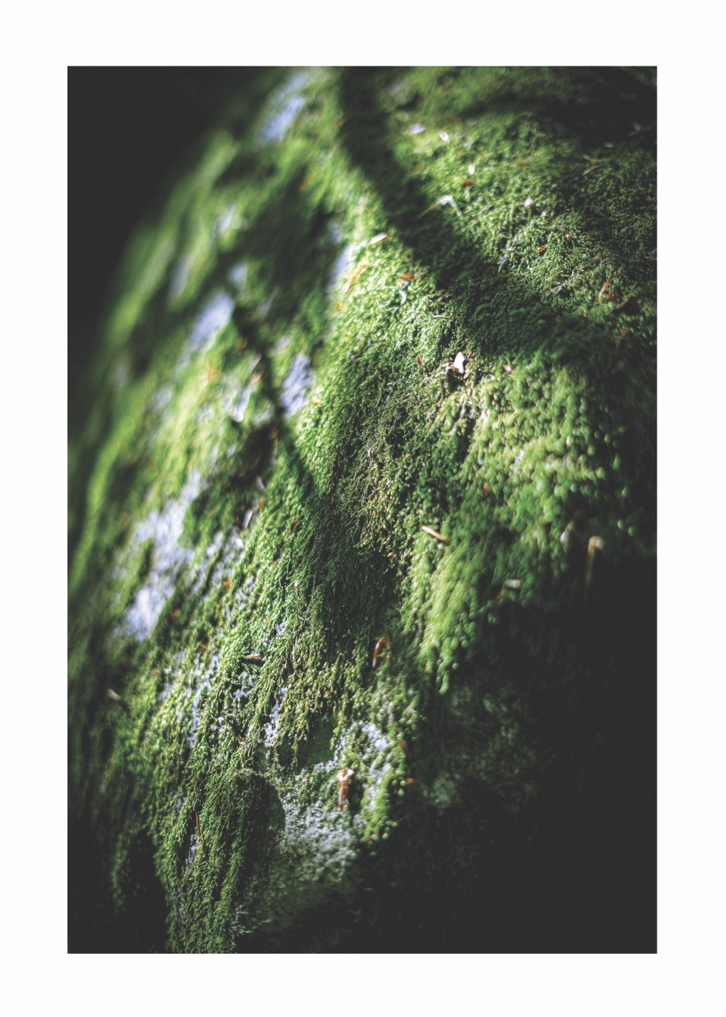 Green Stone - Poster - 3