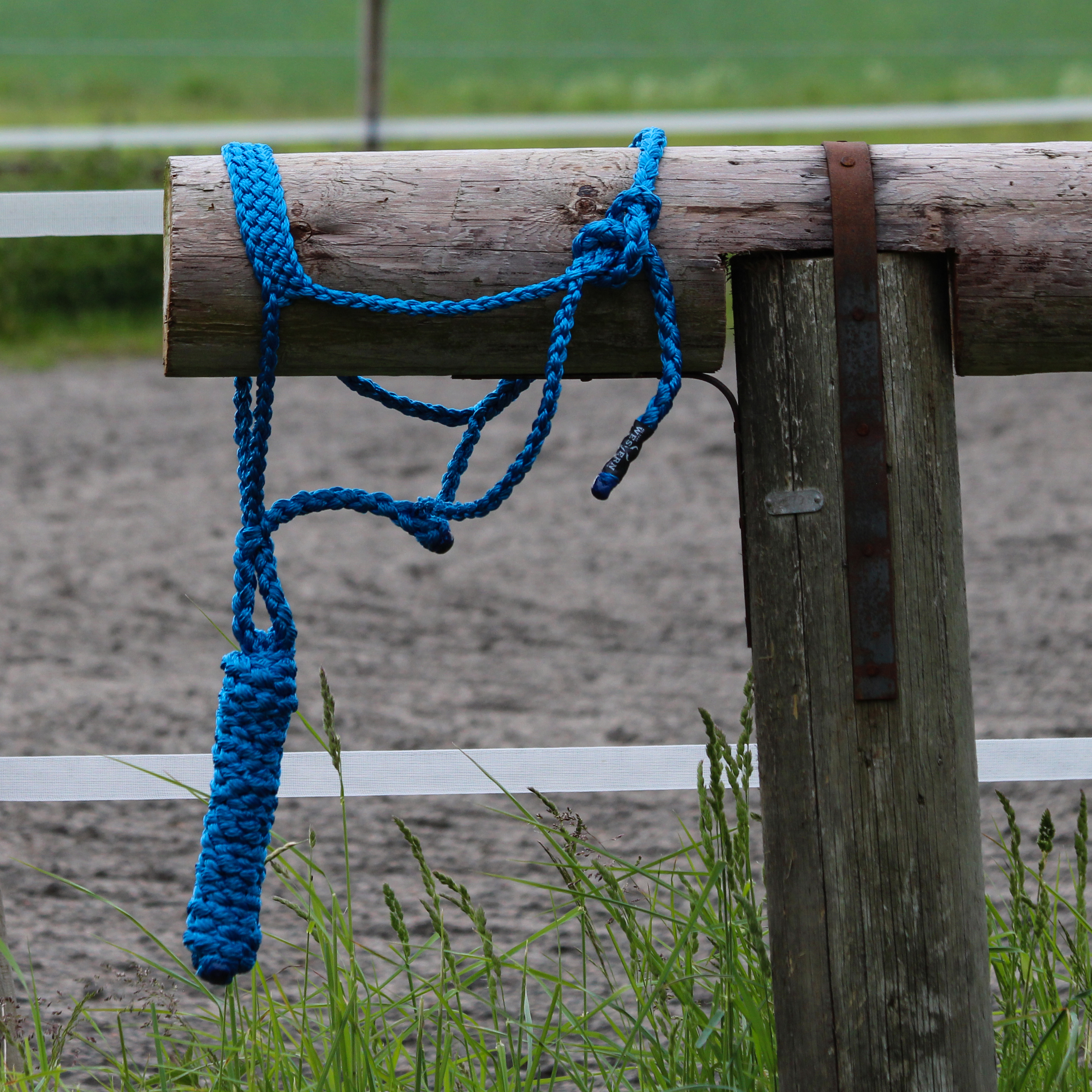 All That Braided Rope Halter- Turquoise - 4