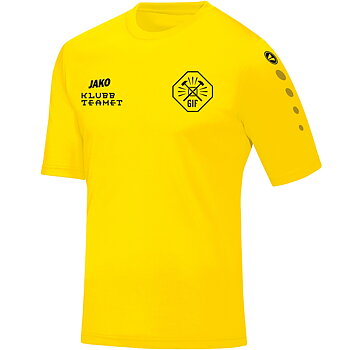 Matchtröja hemma Jr (Glanshammars IF Fotboll)