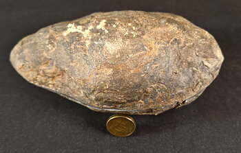 Septaria  Knölar / Nodules  - 2 delar