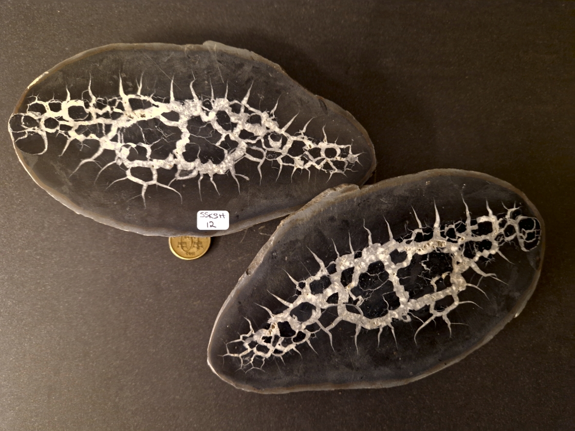 Septaria  Knölar / Nodules  - 2 delar