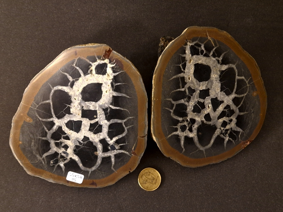 Septaria  Knölar / Nodules  - 2 delar